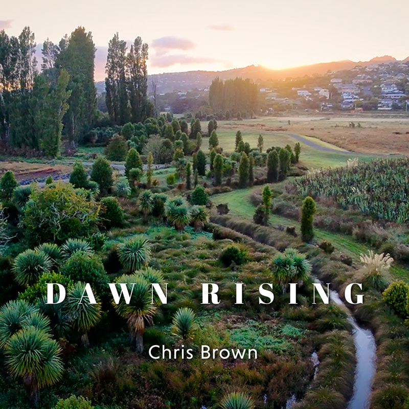 Dawn Rising