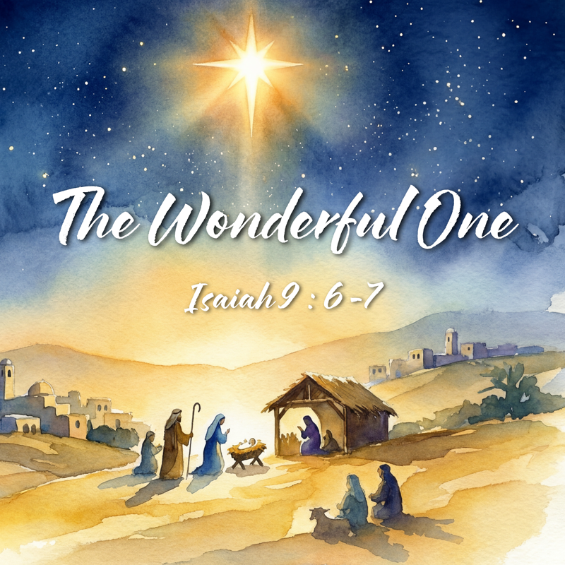 The Wonderful One